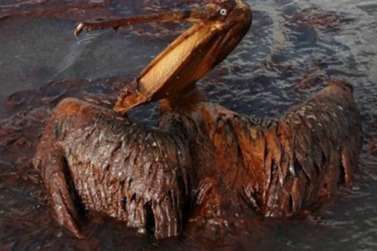 Pela lei americana, a BP pode ter que pagar de 1.100 a 4.300 dólares de multa por barril derramado e não recuperado (.)
