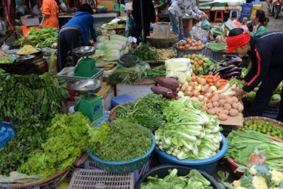Ser vegetariano é melhor para saúde cardiovascular