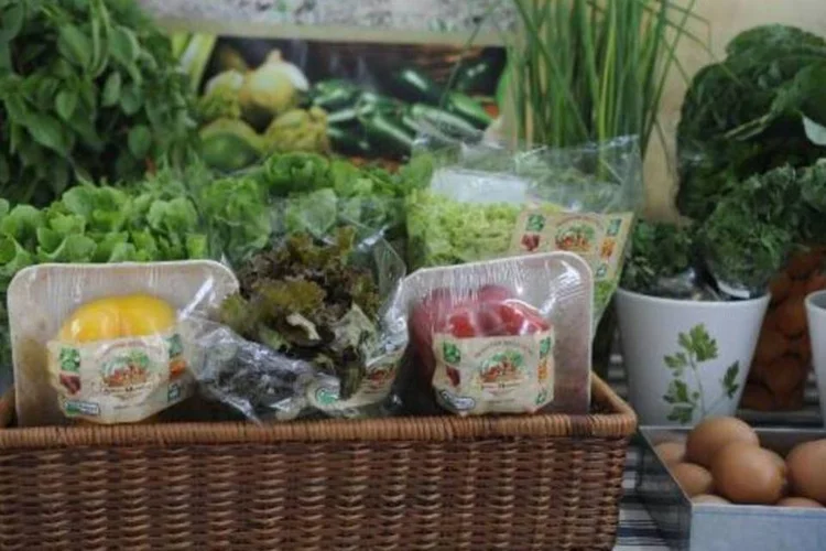 Verduras e legumes: maior pressão sobre orçamento doméstico ocorreu no grupo alimentação (Fernando Frazão/Agência Brasil)