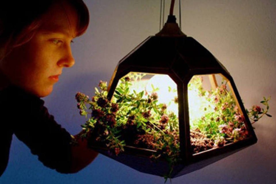 7 ideias criativas para incorporar a natureza nas casas