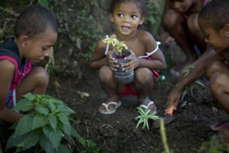 Crianças ajudam no plantio de mudas no Vidigal: um pequeno pedaço do parque foi construído para os pequenos aprenderem jardinagem (Christophe Simon/AFP)