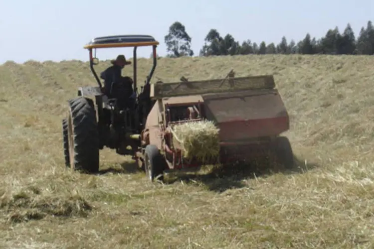 
	Trator: mudan&ccedil;a prevista &eacute; que tratores de roda e equipamentos automotores destinados a trabalhos agr&iacute;colas poder&atilde;o ser conduzidos em via p&uacute;blica por condutor habilitado na categoria B (Divulgação)