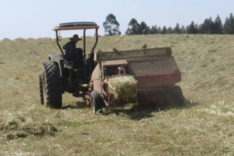 
	Trator: mudan&ccedil;a prevista &eacute; que tratores de roda e equipamentos automotores destinados a trabalhos agr&iacute;colas poder&atilde;o ser conduzidos em via p&uacute;blica por condutor habilitado na categoria B (Divulgação)