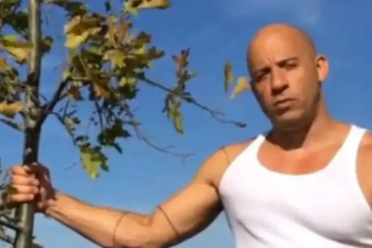 Vin Diesel: ator desafiou o diretor de "Guardiões da Galáxia" a plantar uma árvore (Reprodução/Instagram)