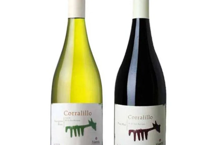 Vinho orgânico (Divulgação)