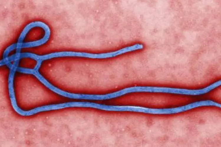 
	Ebola: Guarda Costeira ativou equipe de crise do ebola que est&aacute; revendo pol&iacute;tica da institui&ccedil;&atilde;o
 (Cynthia Goldsmith/AFP)