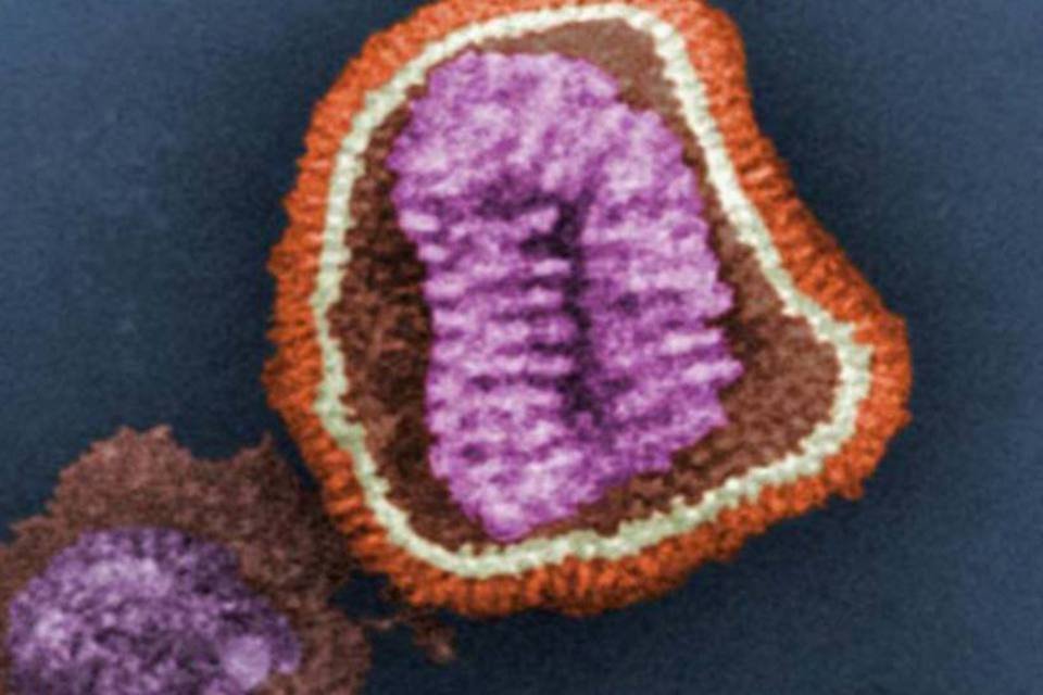 O holandês Ron Fouchier, do Centro Médico Erasmus, modificou o vírus e o tornou extremamente contagioso, transmissível pelo ar  (Wikimedia Commons)
