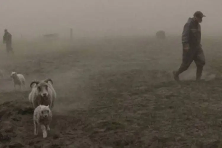 Pastores de ovelhas em campo coberto de cinzas do vulcão Grimsvoetn (Vilhelm Gunnarsson/AFP)