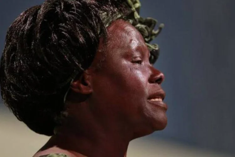 Wangari Maathai tinha um doutorado em Biologia e seu movimento plantou 20 milhões de árvores no Quênia (Peter Macdiarmid/Getty Images)