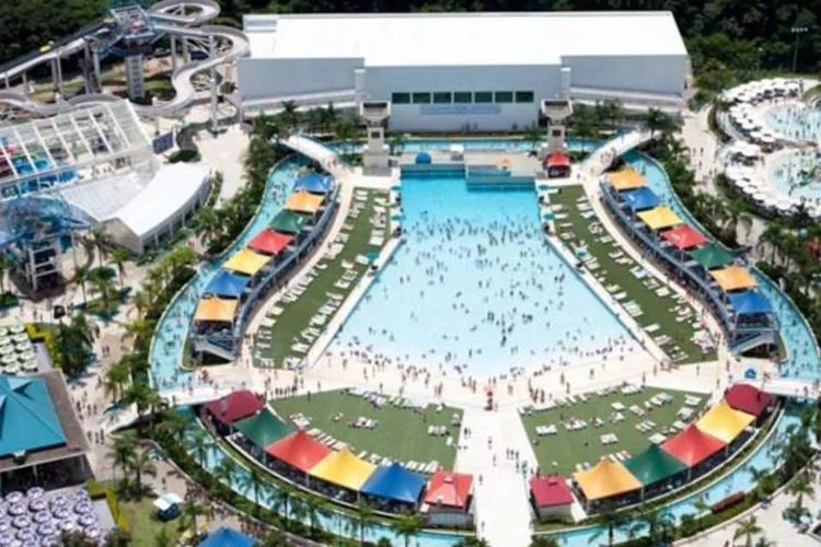 
	Wet&#39;n Wild: A ideia &eacute; facilitar o acesso para os 25 mil internautas que fazem parte da comunidade na rede social
 (Divulgação)