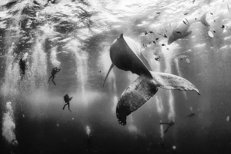 National Geographic Traveler Photo Contest (Anuar Patjane Floriuk / National Geographic Traveler Photo Contest)