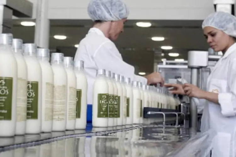 
	Trabalhadores da Natura na produ&ccedil;&atilde;o da linha Ekos na f&aacute;brica da companhia em Cajamar, S&atilde;o Paulo
 (Marcos Issa/Bloomberg News)