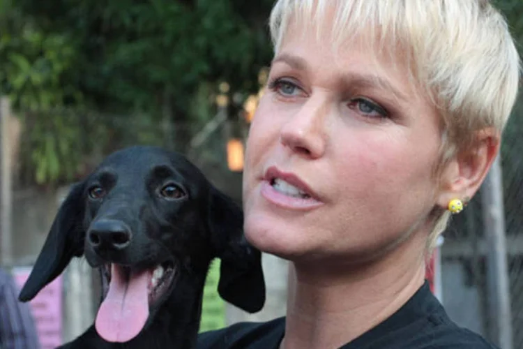 Com apelo tanto aos pais quanto às crianças, a estrela da campanha de vacinação será Xuxa (Reginaldo Teixeira/Contigo/Reprodução)
