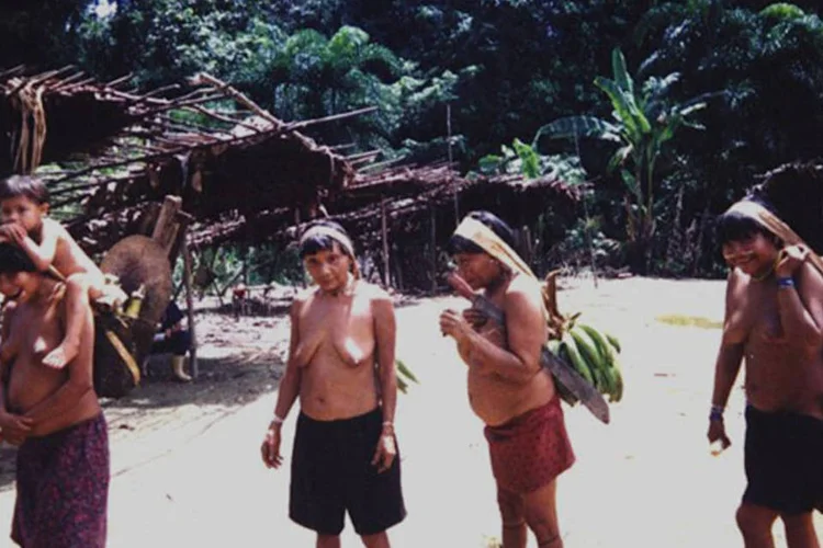 Índios Yanomami: A Reserva, criada em 1992 e uma das maiores do Brasil, com 96.650 quilômetros quadrados de extensão, abriga cerca de 20 mil índios  (Wikimedia Commons)