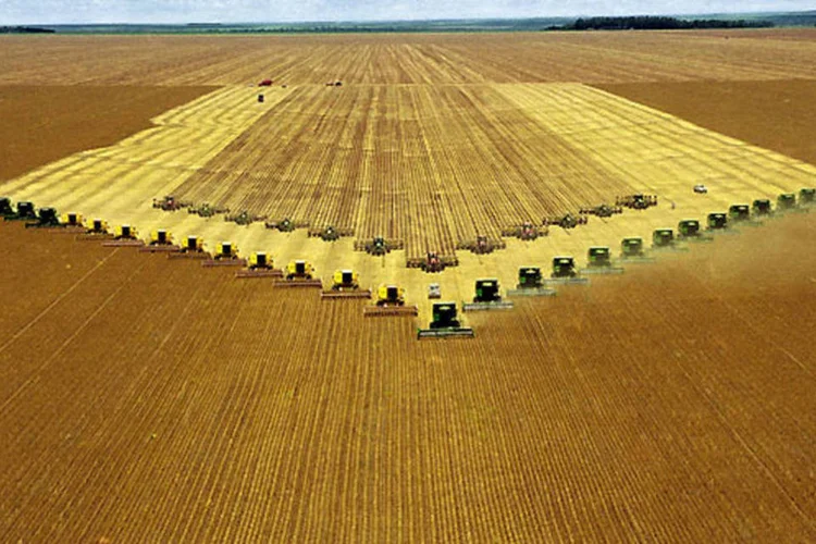 A maior redução na produção é observada na soja (9,72 milhões de toneladas) e no arroz (1,95 milhão de toneladas) (LEOMAR JOSE MEES)