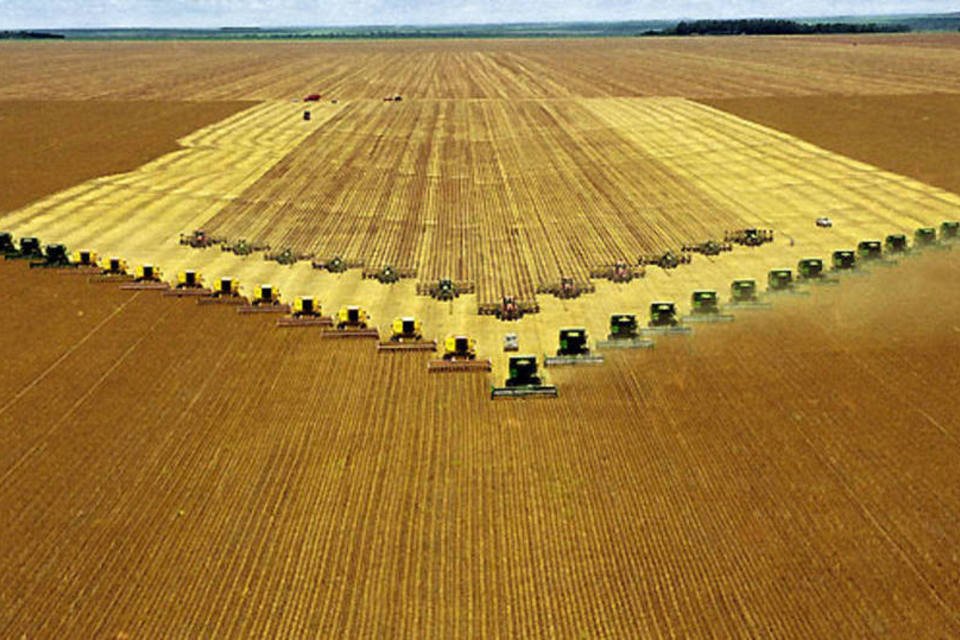 Safra de soja argentina pode ser de 52 milhões de toneladas