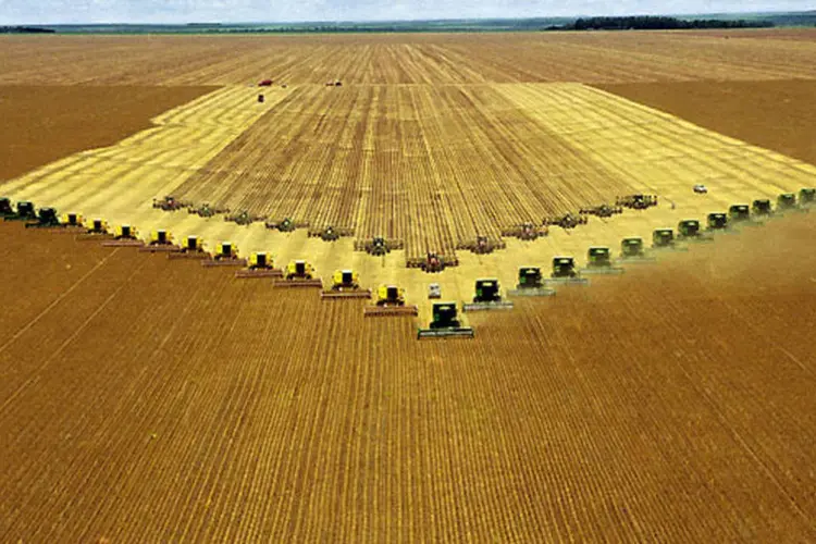 A Agrifirma compra terras degradadas e depois as transforma em áreas de plantio de soja, milho e algodão (LEOMAR JOSE MEES)