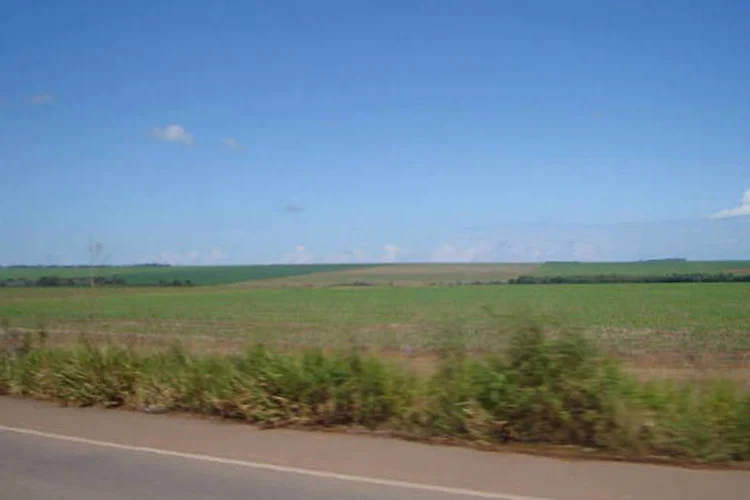 
	Segundo informa&ccedil;&atilde;o coletada pelos agentes, um produtor rural residente no munic&iacute;pio vizinho &quot;comprou&quot; dois lotes do assentamento com o objetivo de implantar lavoura de soja na &aacute;rea
 (Wikicommons)