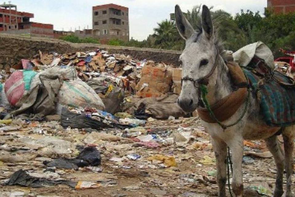 Catadores do Cairo usam o lixo para conseguir luz e água quente