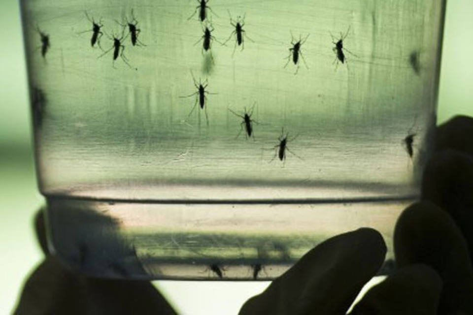 Mais de 27 mi de casas foram visitadas contra Aedes aegypti