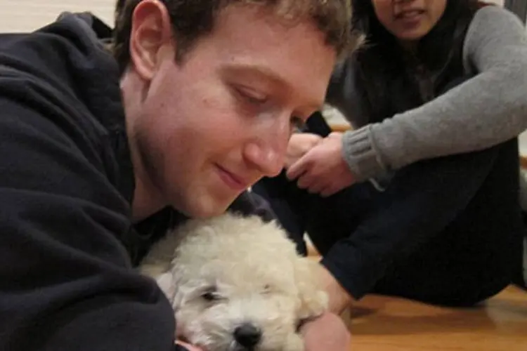 Beast, o cachorro de Mark Zuckerberg, terá mais espaço para se exercitar na nova casa (Reprodução)