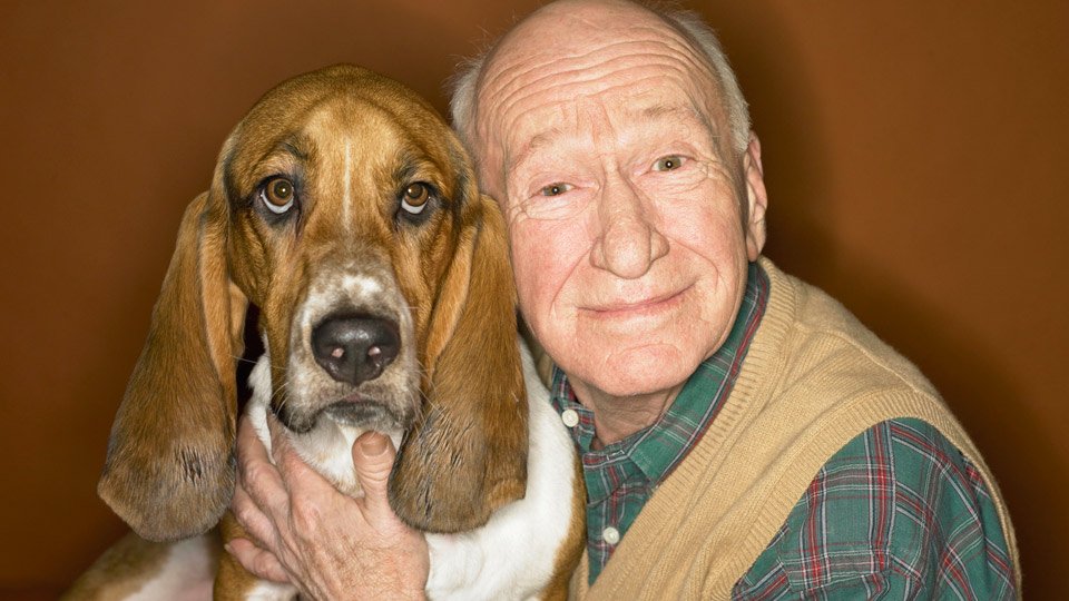 Posso deixar meus bens para o meu cachorro?