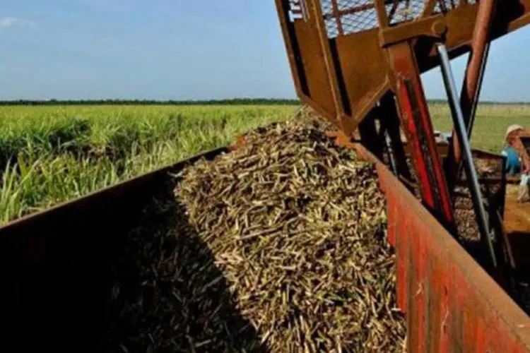 Colheita da agricultura em Cuba (Adalberto Roque/AFP)