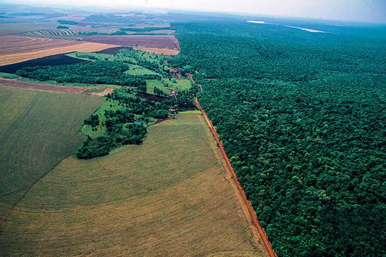 Fazenda no Paraná: nova MP do governo que tira exigências do Código Florestal vem 16 dias depois que o Congresso decidiu por não votar uma outra MP do tipo
 (Paulo Jares/Site Exame)
