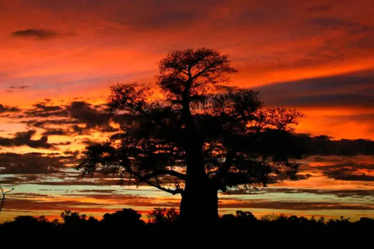 Botswana, na África Austral (Divulgação)