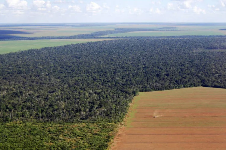 Desmatamento na Amazônia: "Como as pessoas podem sair da pobreza não às custas da natureza, mas a partir dela?", questiona o professor da UFRJ (Thinckstock/Thinkstock)