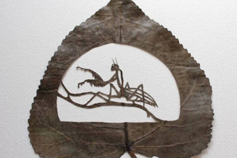 Artista espanhol esculpe desenhos em folhas secas