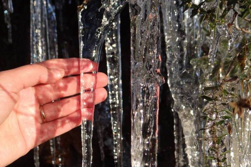 O frio chegou - veja fotos da geada que congelou tudo em SC