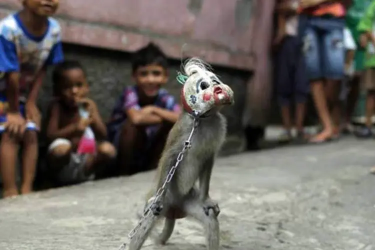 Macaco mascarado nas ruas de Jakarta (REUTERS)