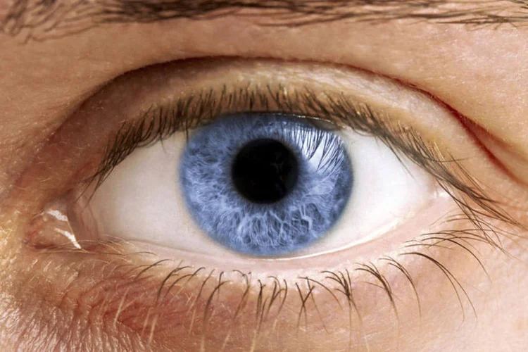 Olhos: conversar quando você está olhando nos olhos de outra pessoa é difícil porque o cérebro fica sobrecarregado pelo olha (Thinkstock)