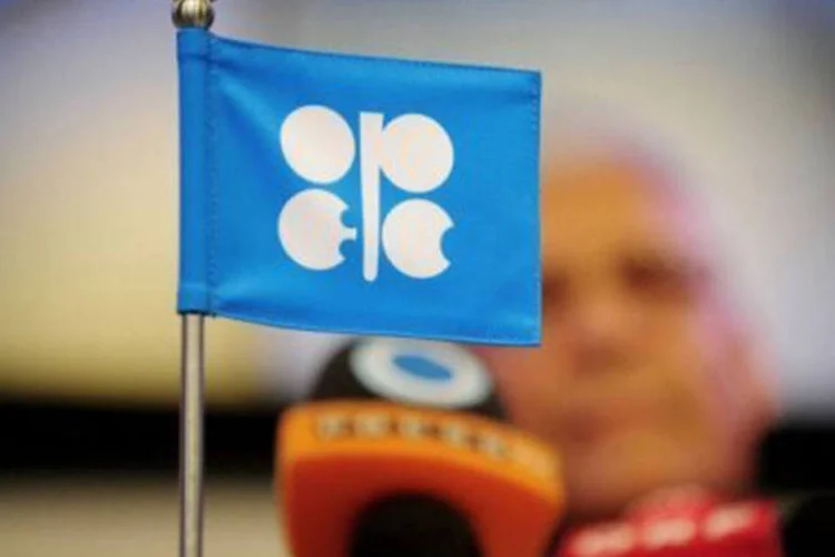 Bandeira com o logotipo da Opep (Joe Klamar/AFP)