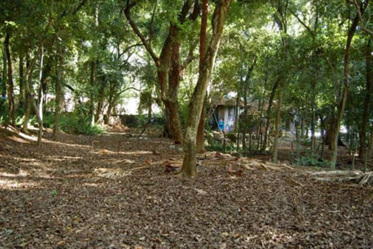 
	Parque Augusta: construtoras querem receber o dobro do valor pago pelo terreno, onde planejam construir torres de 45m de altura
 (Divulgação/Facebook/Parque Augusta/Divulgação)
