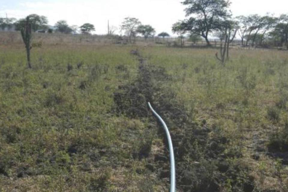 PF prende agricultor e solta dono de plantação de maconha