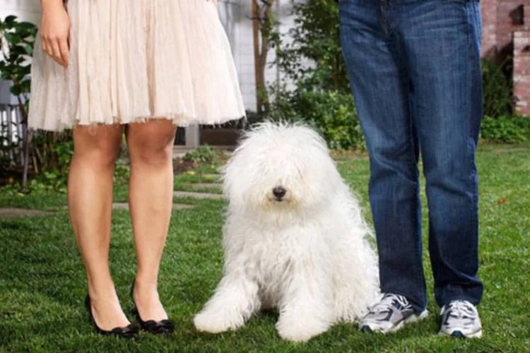 Priscilla Chan, cachorro "Beast" e Mark Zuckerberg (Reprodução / Facebook)