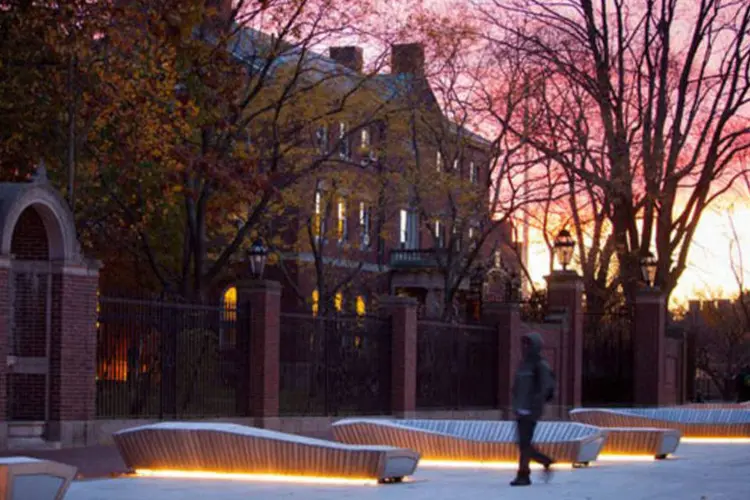 Harvard University|: 48 cursos classificados entre os 10 melhores do mundo (Rose Lincoln/Harvard/Divulgação) (Rose Lincoln/Harvard/Divulgação)