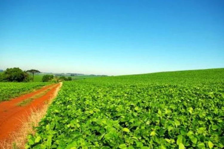 Projeto de sustentabilidade permite uso da soja em motores a diesel  (.)
