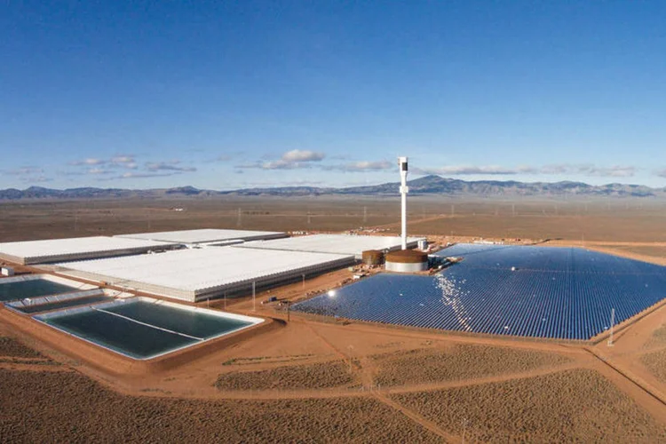 
	Sundrop: energia para a fazenda &eacute; gerada por 23 mil espelhos que refletem a luz solar para a torre receptora
 (Divulgação/Sundrop)