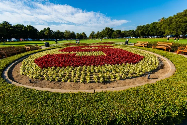 Stanford University (hanxu1011/Thinkstock)