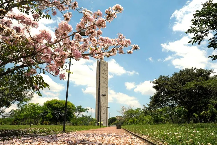 USP (Cecilia Bastos/Jornal da USP/Divulgação)