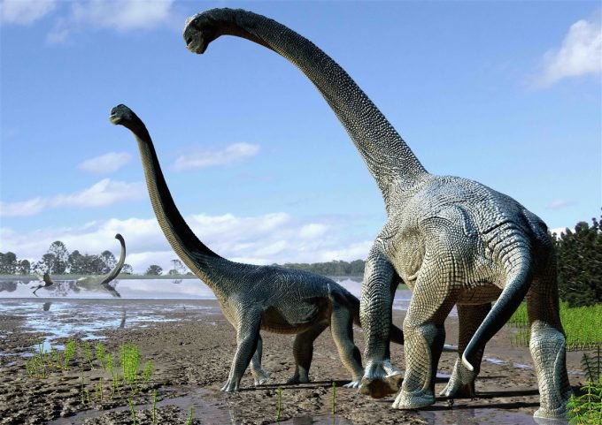 Dinossauro: descobertas geraram controvérsia sobre a origem dos titanossauros na Austrália (Australian Age of Dinosaurs Museum of Natural History/Divulgação)