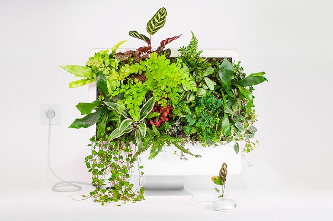 Artista usa computadores antigos como vasos para plantas exóticas