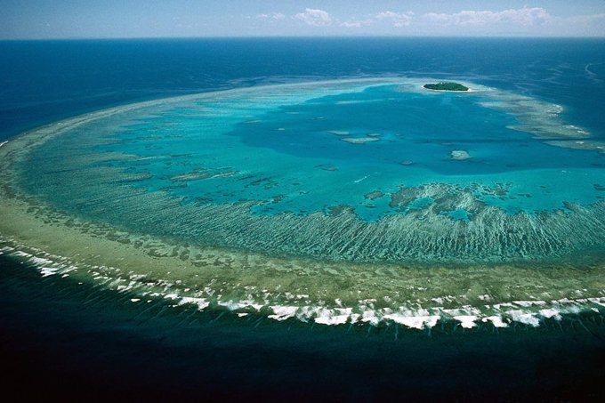 Branqueamento já atinge 98% da Grande Barreira de Coral da Austrália