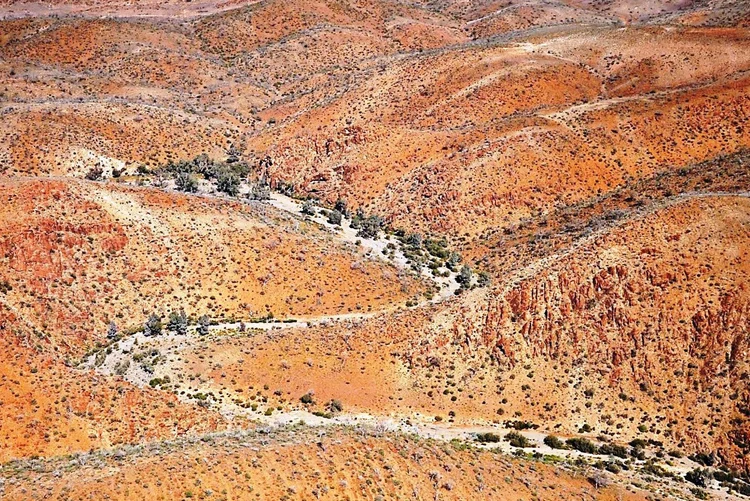 Descoberta: migração do norte para o sul foi anterior ao que se pensava (Giles Hamm/South Australian Museum/Handout/Reuters)