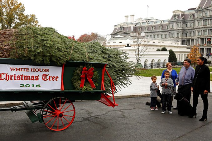 Michelle Obama recebe árvore de natal na Casa Branca
