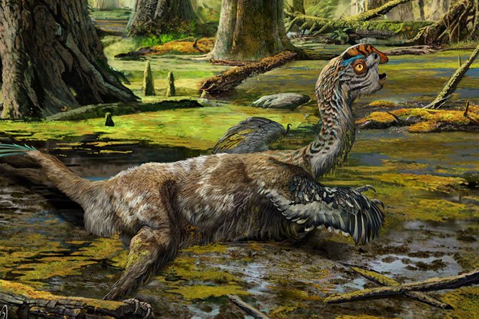 Nova espécie de dinossauro é descoberta na China
