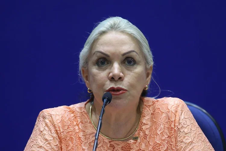 Maria Inês Fini: presidente do Inep afirma que alunos com prova adiada terão perguntas com mesmo nível de dificuldade que os demais (Wilson Dias/Agência Brasil)